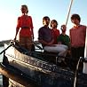 Image of Shout Out Louds
