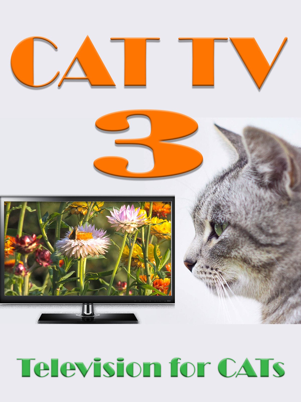 watch-cat-tv-3-on-amazon-prime-instant-video-uk-newonamzprimeuk