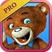 Talking Teddy Bear Pro