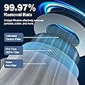 Petox Core 300 Smoke Remover Replacement Filter Core 300-RF-SR