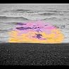 Video of Golden Silvers