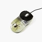 Ed Speldy East CM06 Real Bug Computer Mouse-Glow in the Dark-Spider