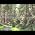 Video of Vicki Hinze