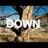 Come Back Down