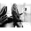 Thumbnail image of Melissa Etheridge