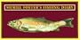 Muriel Foster's Fishing Diary