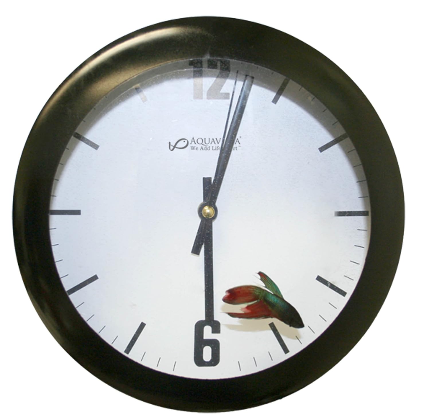 I Love My Fish Tank Clock