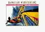 Hawaiian Windsurfing Guide