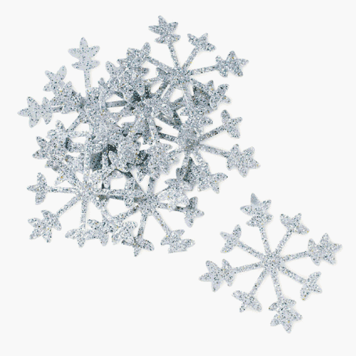 Silver Snowflake