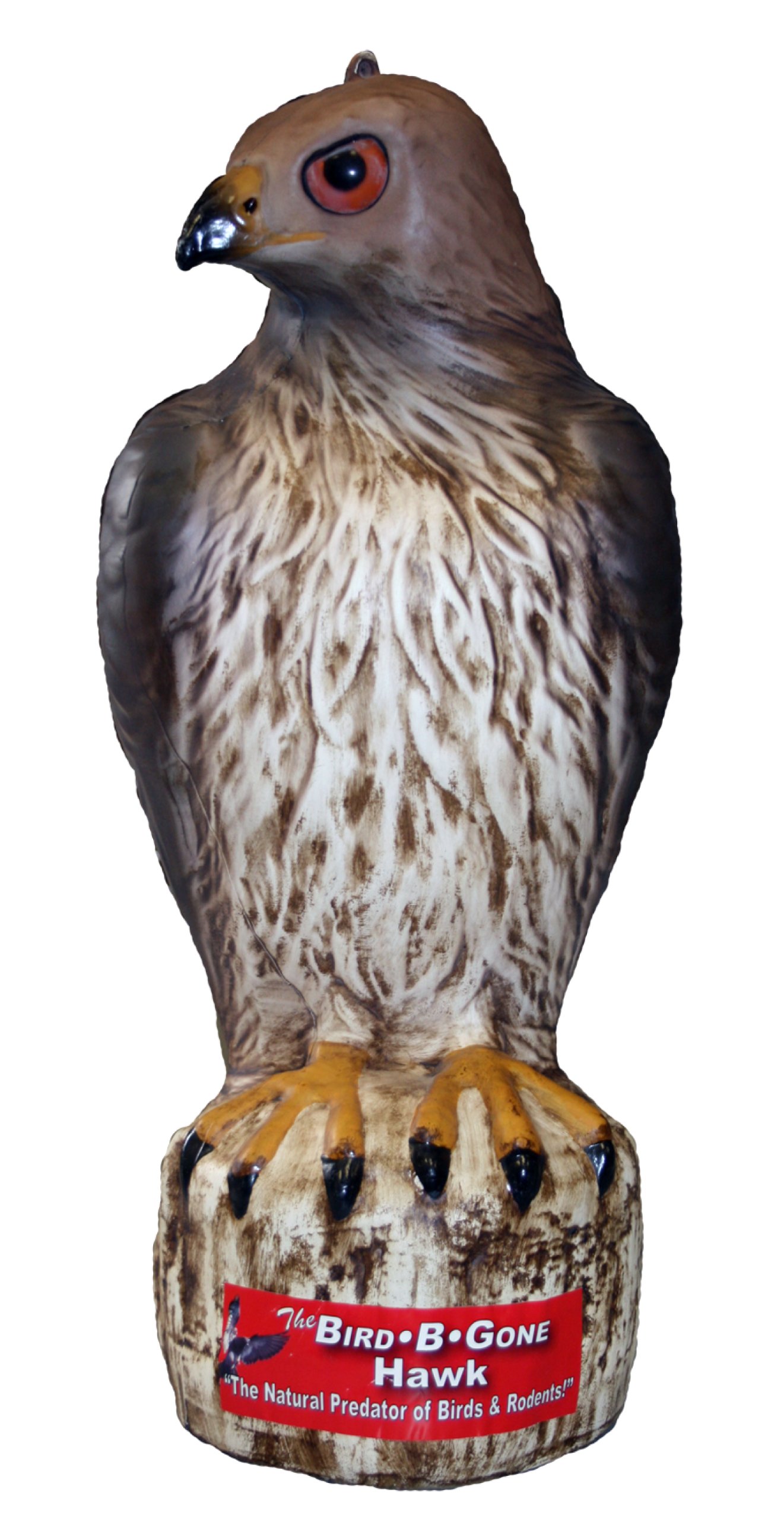 Bird B Gone MMRTH1 Hawk Decoy Pest Birds Scare Away Natural Predator