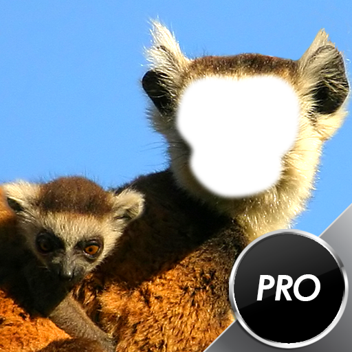 Funny Monkey Photo Montage
