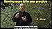 Yang Tai Chi for Beginners Part 1
