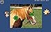 Puzzle Horses