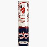 Xbox 360 MLB Boston Red Sox Faceplate