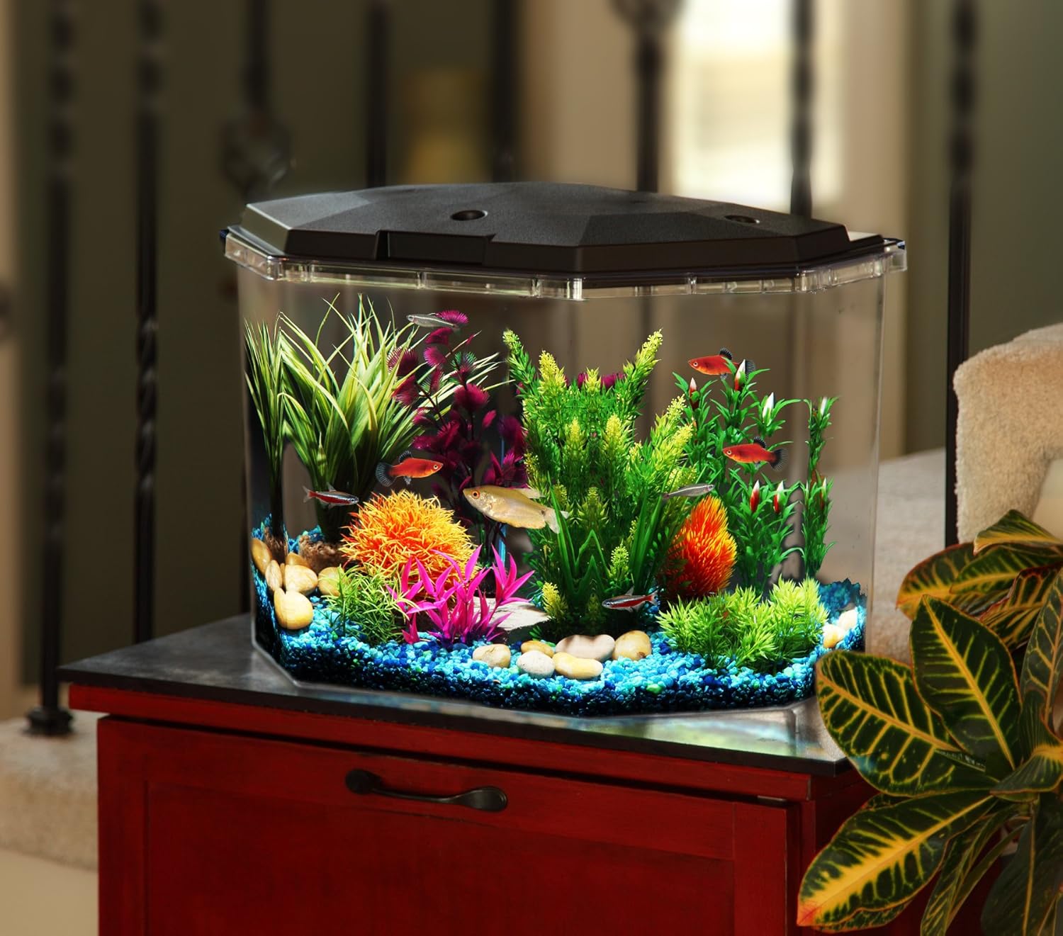 Best Aquarium Starter Kits Reviews on Flipboard by Andrew Paul Best Aquarium Starter Kits Reviews on Flipboard by Andrew Paul