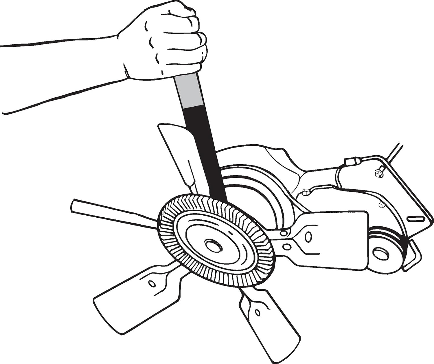 Willie Wildcat Coloring Pages Coloring Pages