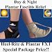 tendonitis35  - Plantar Fasciitis Kit