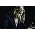 Miniaturansicht von David Garrett