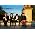 Vignette de The Kooks