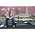 Thumbnail image of Steve Earle