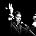 Jacques Brel - Jacques Brel (1929-1978), composer-songwriter and