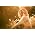 Thumbnail image of Katherine Jenkins