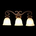 3 Shades Indoor Wall Vanity Lighting Light, Bathroom Light Fixtures, AZS-INB130-3