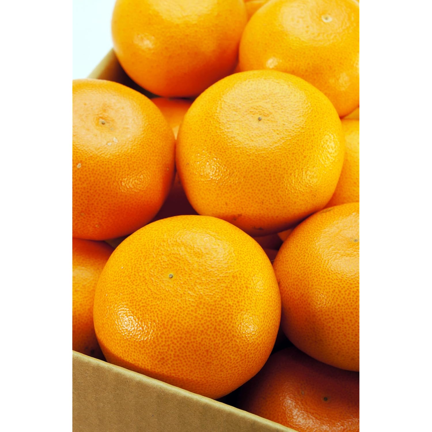 爱媛県产 究极の柑橘 せとか みかん 5kg