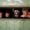 Image of Deer Tick