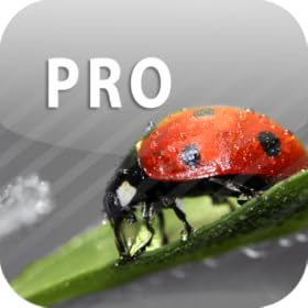 ColorUp Pro