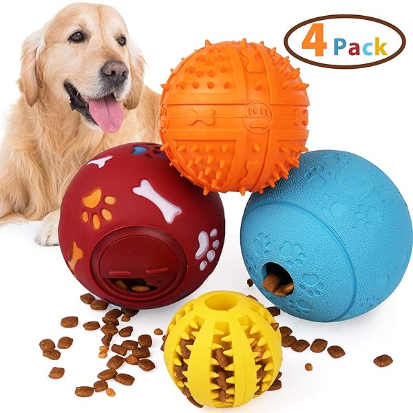 active rolling ball dogs