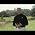 Video of Robin Sieger
