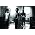 Miniaturansicht von Razorlight