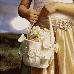 Flower Girl Basket with Embroidered Sheer Trim & Bows - White