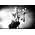 Miniaturansicht von Billy Talent