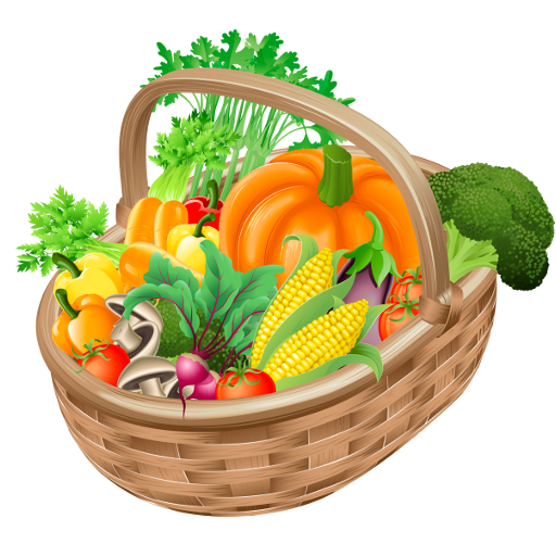 Grocery Shopping List