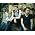 Thumbnail image of Wild Beasts