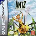 Antz Racing by 