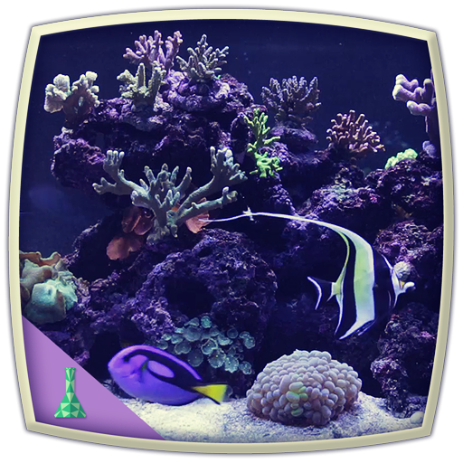 Marine Aquarium HD