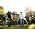 Thumbnail image of Drive-By Truckers