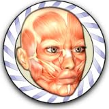 Speed Anatomy