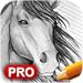 How to Draw Horses: Pro Edition