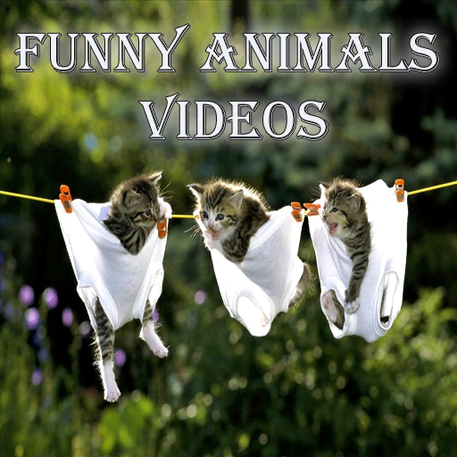 Funny Animals Videos Funny Animals Videos