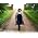 Thumbnail image of Susan Boyle
