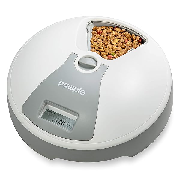 Pawple Automatic Pet Feeder 6 Meal Food Dispenser For Dogs Cats