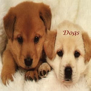 Dogs