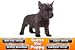 Guess The Puppy Breed 2 - Trivia Game
