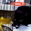 Pack Up the Cats