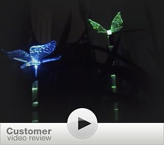 Click to watch this video
