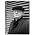 Vignette de Alfred Brendel